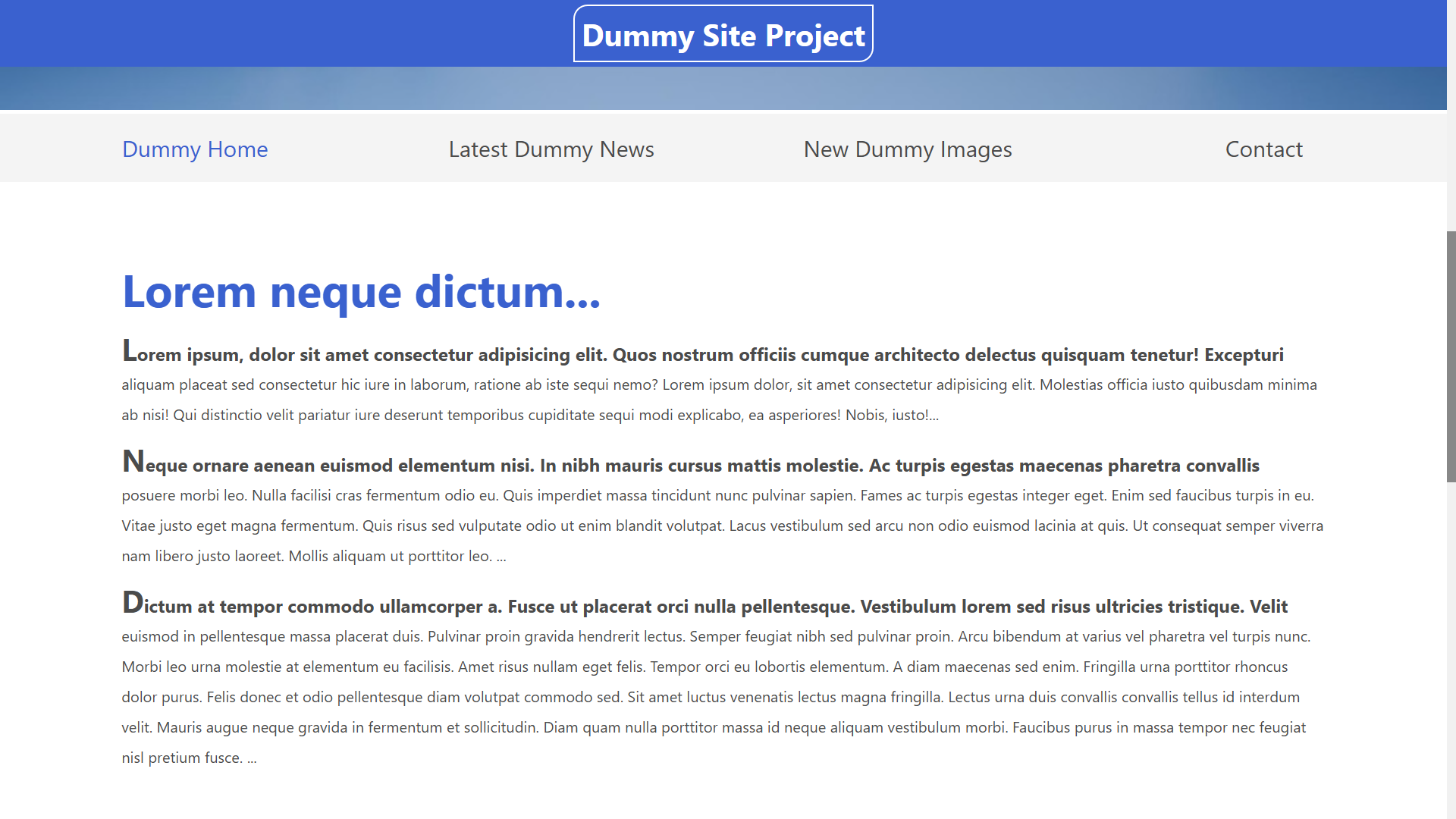 Dummy Text and Images Website